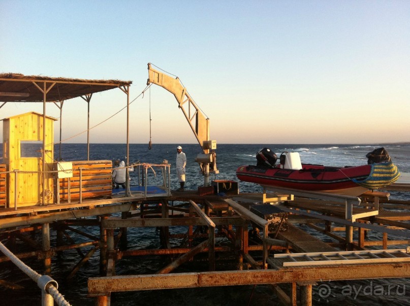 арабская сказка на турецкий лад