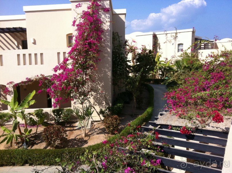 арабская сказка на турецкий лад