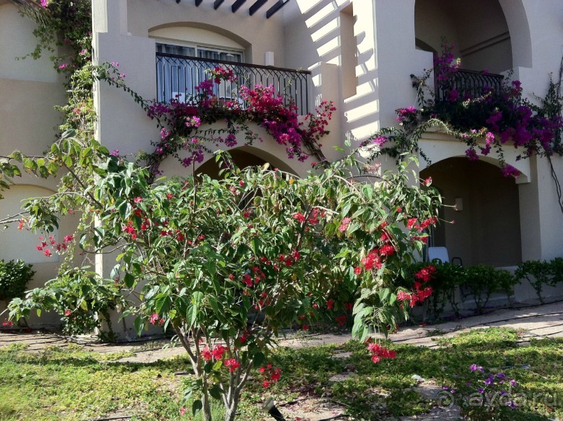 арабская сказка на турецкий лад