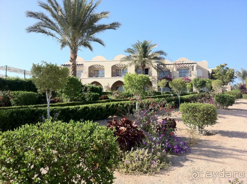 арабская сказка на турецкий лад