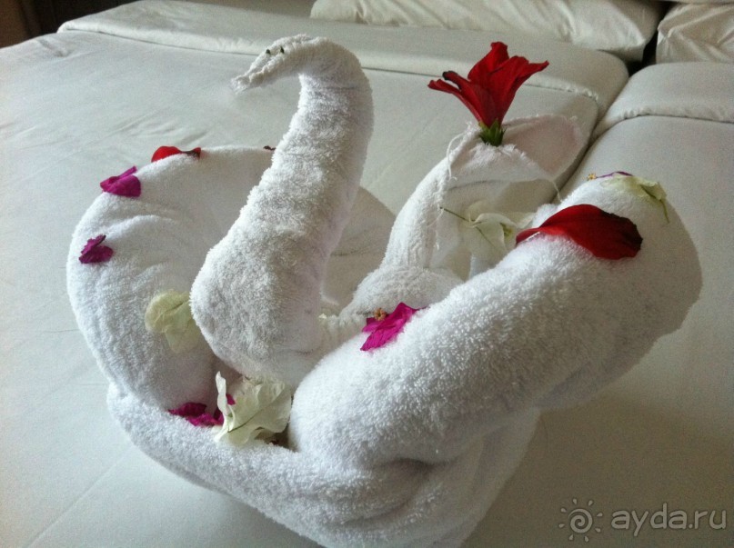 арабская сказка на турецкий лад