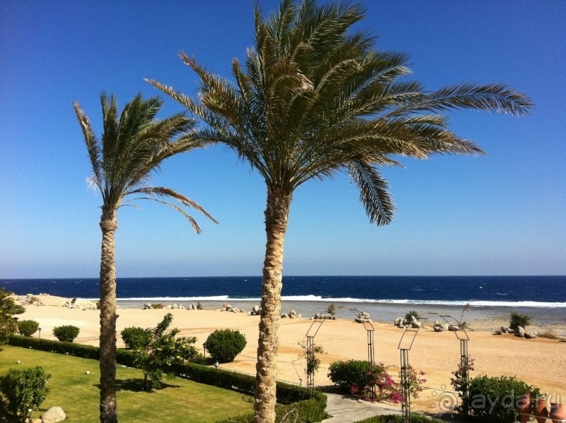 арабская сказка на турецкий лад