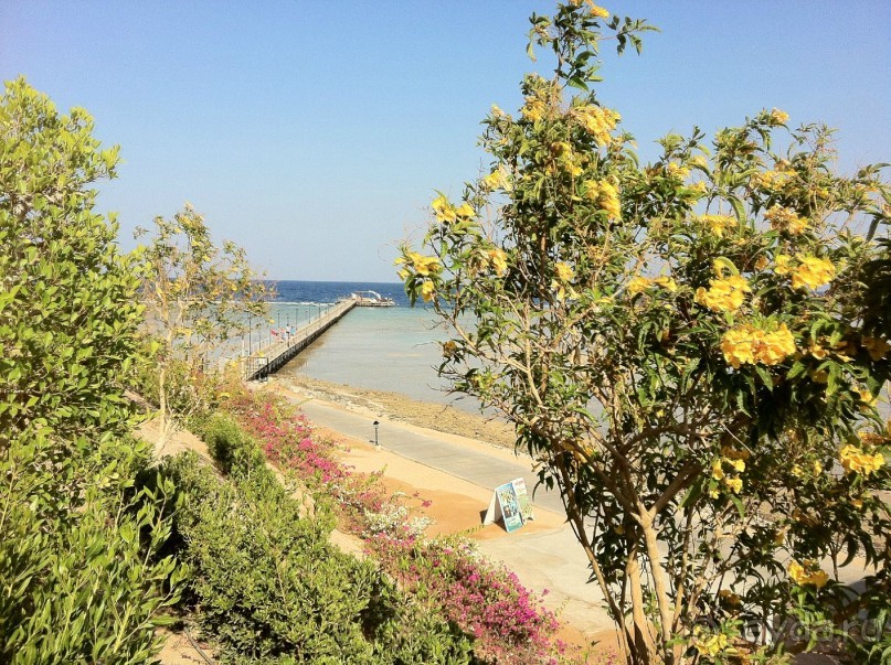 арабская сказка на турецкий лад