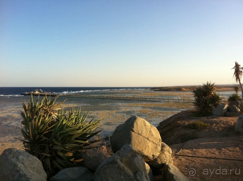 арабская сказка на турецкий лад