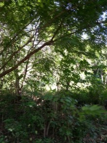 Полуостров Самана - все оттенки карибского путешествия.