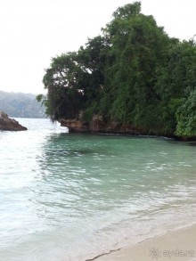 на острове Бакарди