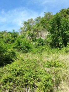 Полуостров Самана - все оттенки карибского путешествия.