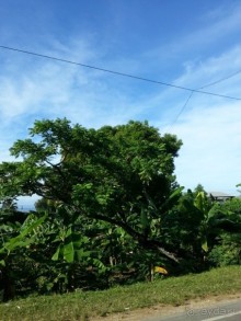 Полуостров Самана - все оттенки карибского путешествия.