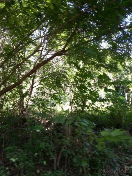 Полуостров Самана - все оттенки карибского путешествия.