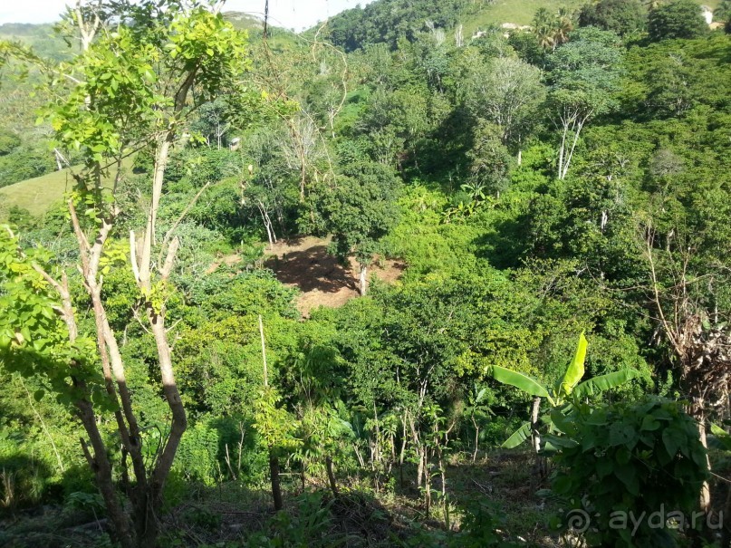 Полуостров Самана - все оттенки карибского путешествия.