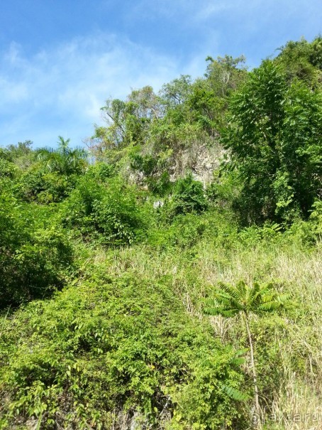 Полуостров Самана - все оттенки карибского путешествия.