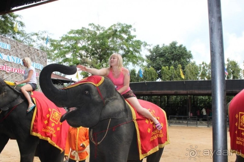 фото Birger Jarl