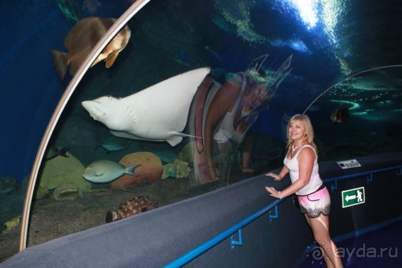 фото Birger Jarl