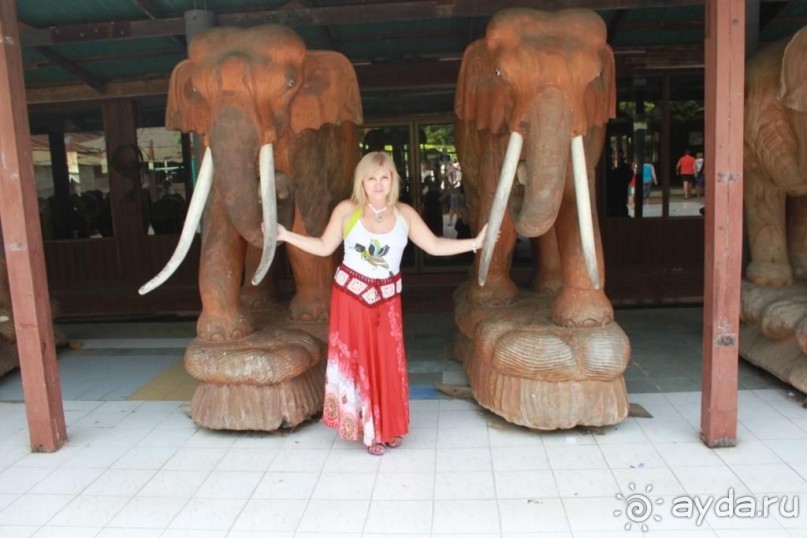 фото Birger Jarl