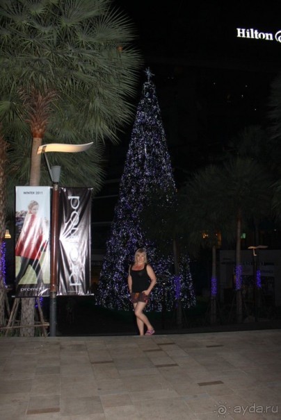 фото Birger Jarl