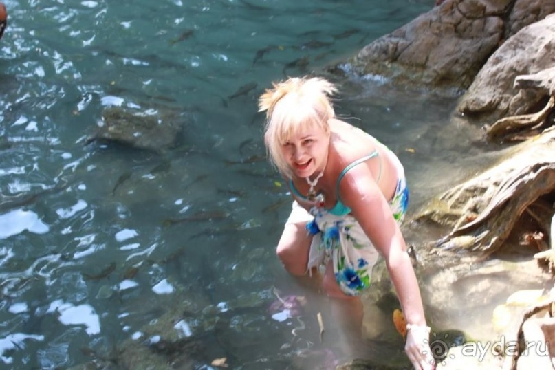 фото Birger Jarl