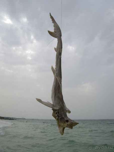 Хороший отель для 4*