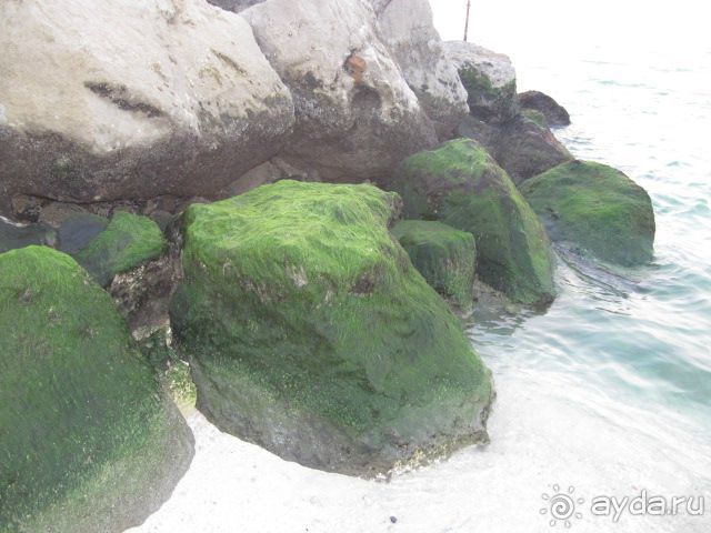 Хороший отель для 4*