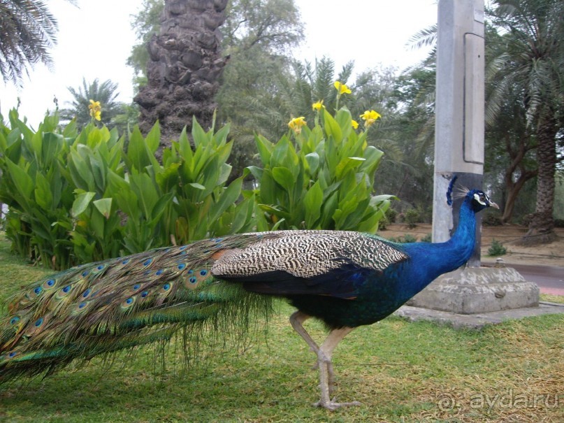 Хороший отель для 4*