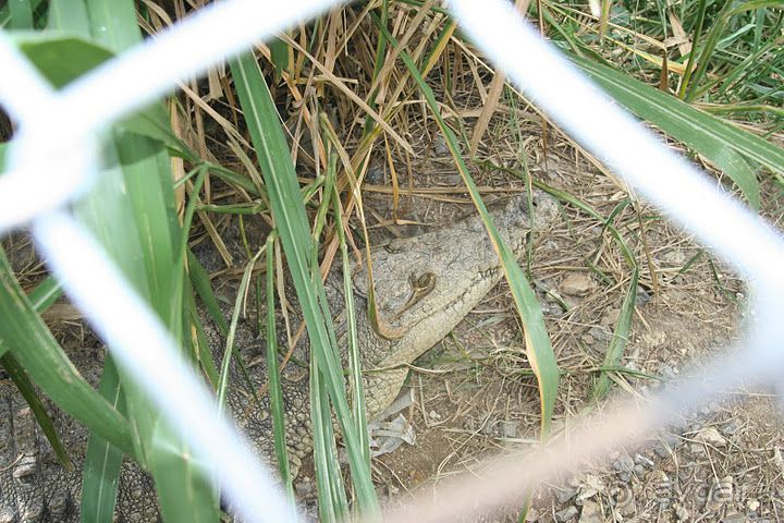 Отель сказочный