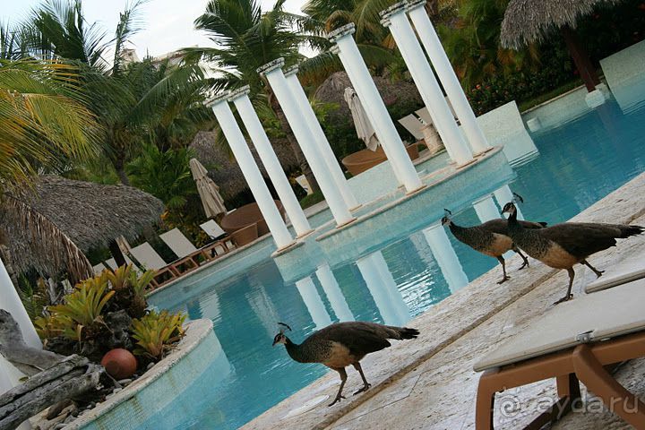 Отель сказочный