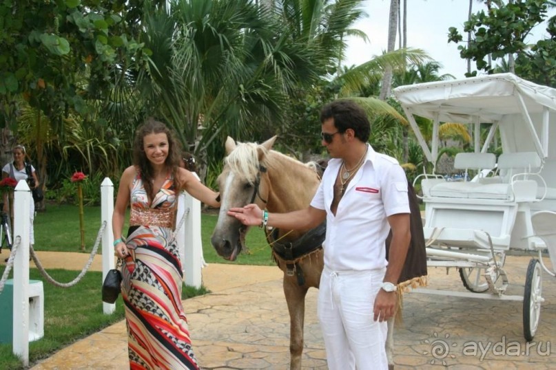 Отель сказочный