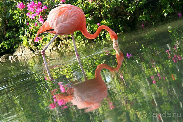 Отель сказочный