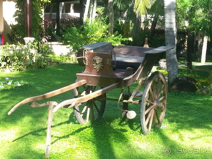 фото Seahorse Resort