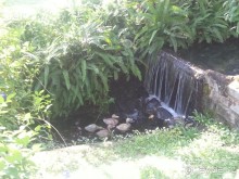 фото Seahorse Resort