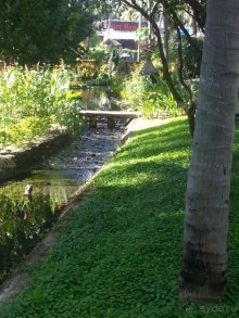 фото Seahorse Resort