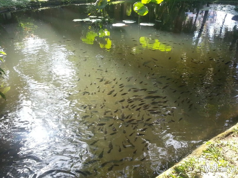 Достойный отель!