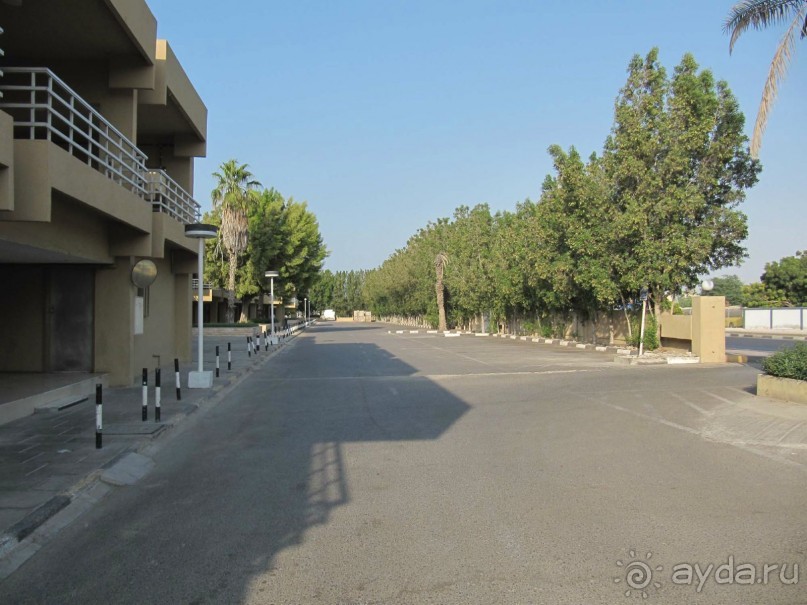 Отель Golden Beach Motel