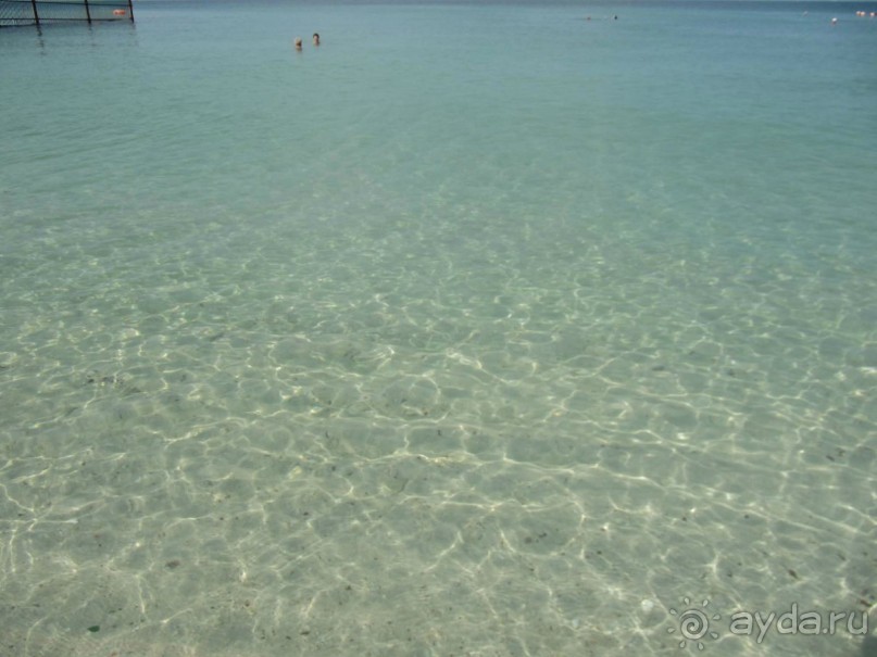 Отель Golden Beach Motel