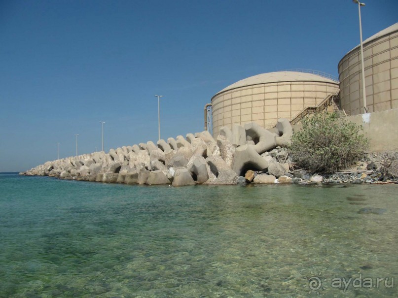 Отель Golden Beach Motel