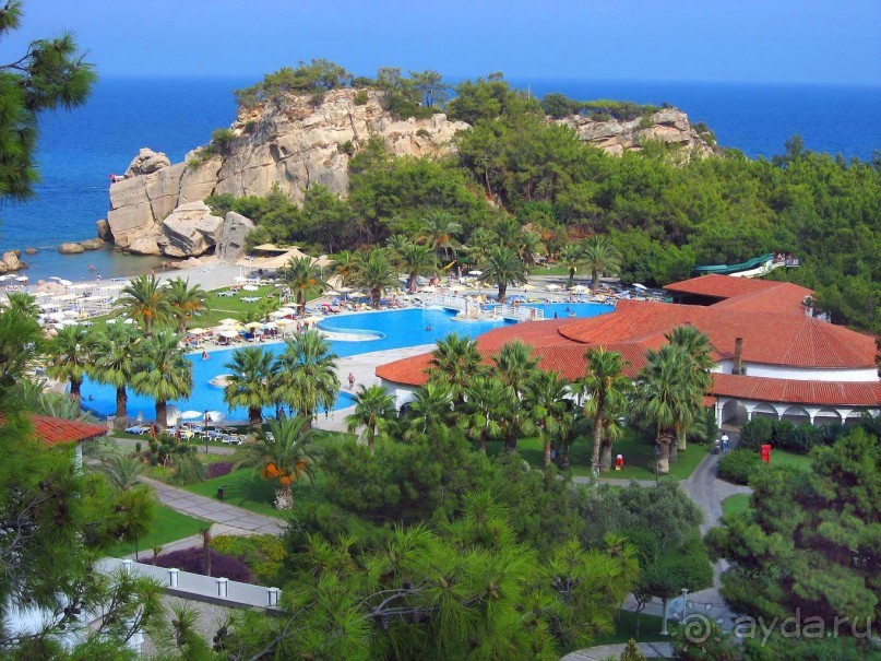 фото Кириша