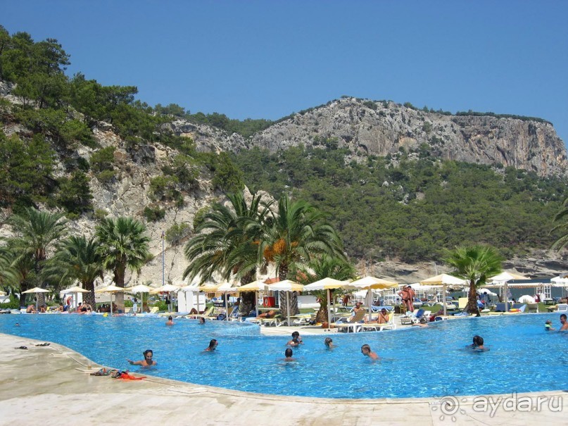 фото Кириша