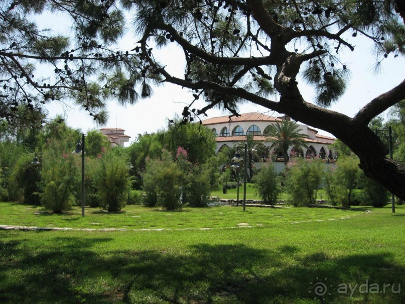 фото Кириша