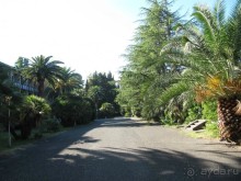 территория пансионата Энергетик