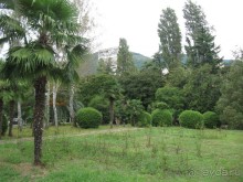 территория пансионата Энергетик