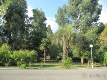 территория пансионата Энергетик