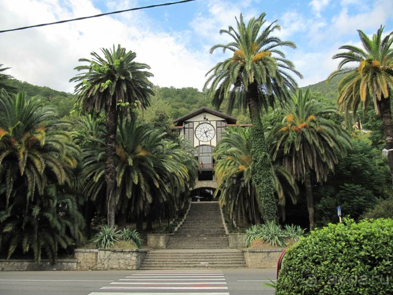 парк старой Гагры 