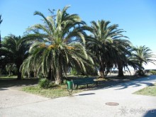 территория пансионата Энергетик