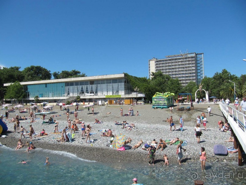 заповедный парк в Пицунде