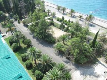 вид из окна