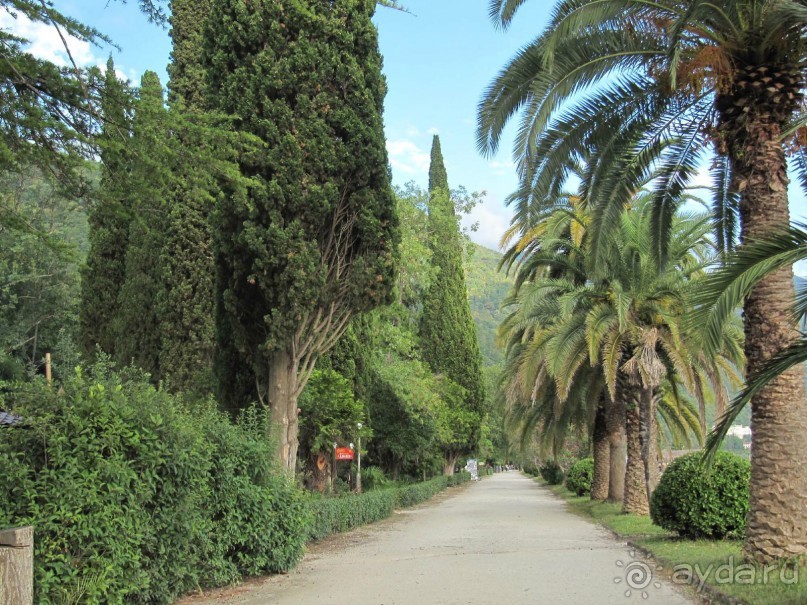 парк старой Гагры 