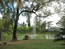 парк старой Гагры 