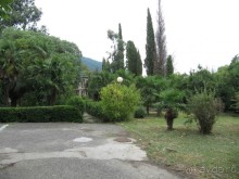 территория пансионата Энергетик