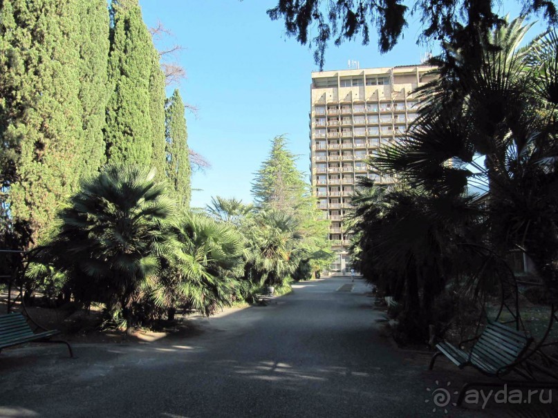 фото Энергетик