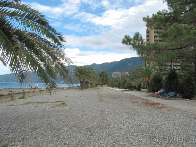 территория пансионата Энергетик