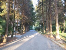 территория пансионата Энергетик